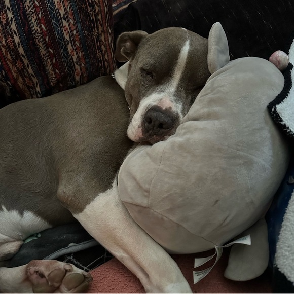 SALE - RAISING MONEY FOR CANCER TREATMENT! - Picture 2 of 12